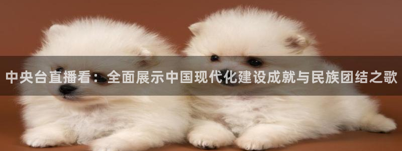 河豚直播nba免费观看：中央台直播看：全面展示中国现代化建设成就与民族团结之歌