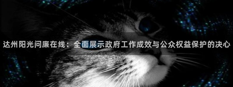 河豚足球比赛直播：达州阳光问廉在线：全面展示政府工作成效与公众权益保护的决心