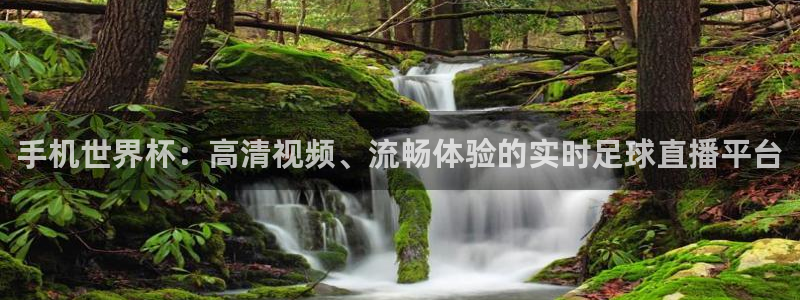 河豚体育免费直播：手机世界杯：高清视频、流畅体验的实时足球直播平台