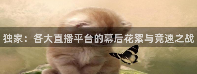 nba直播河豚：独家：各大直播平台的幕后花絮与竞速之战