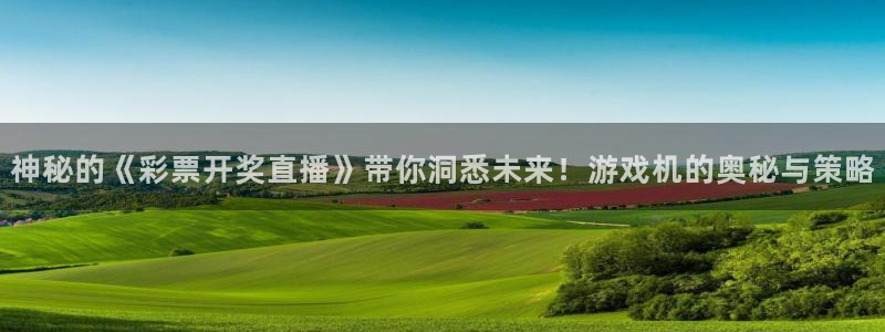 河豚体育直播：神秘的《彩票开奖直播》带你洞悉未来！游戏机的奥秘与策略