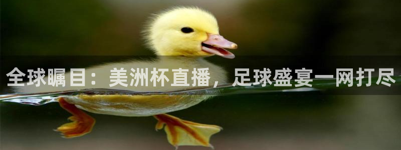 河豚tv直播：全球瞩目：美洲杯直播，足球盛宴一网打尽