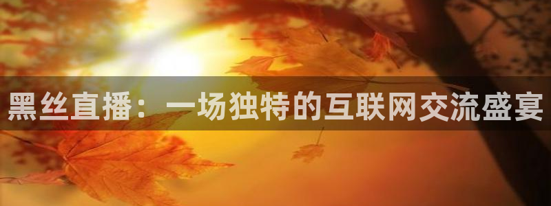 河豚免费nba在线直播：黑丝直播：一场独特的互联网交流盛宴